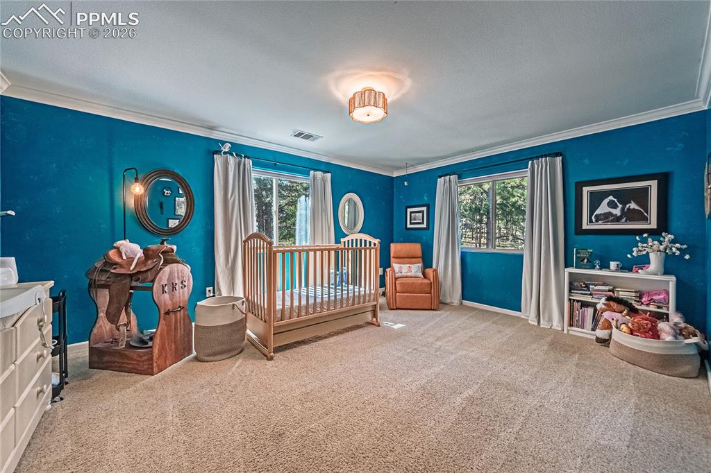 1210 Kenosha Drive Larkspur CO 80118