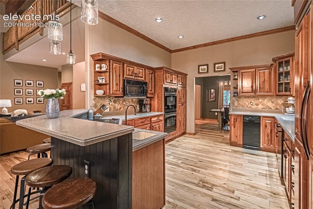 1210 Kenosha Drive Larkspur CO 80118