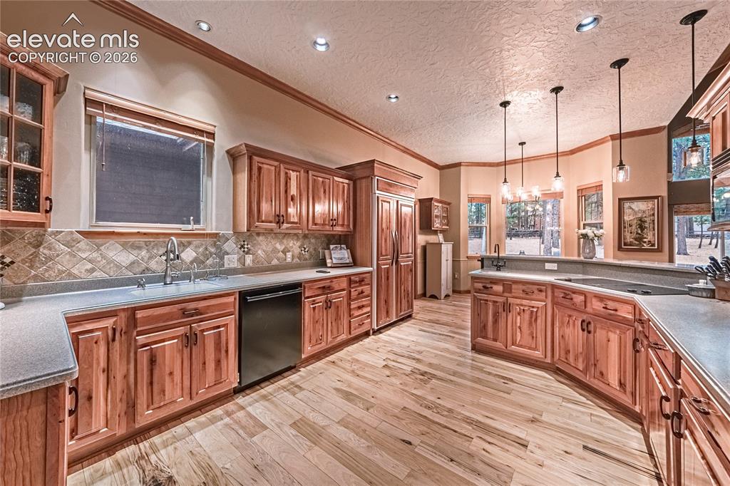 1210 Kenosha Drive Larkspur CO 80118