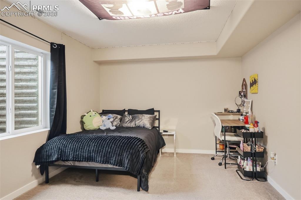 9307 Blue Birch Court Colorado Springs CO 80927