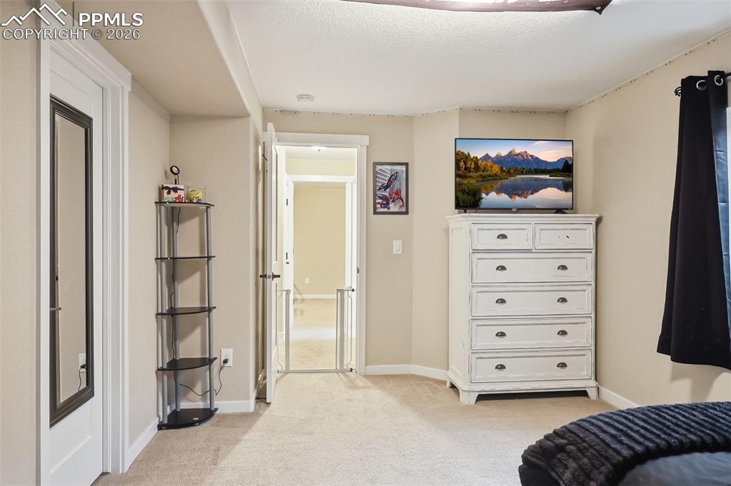 9307 Blue Birch Court Colorado Springs CO 80927