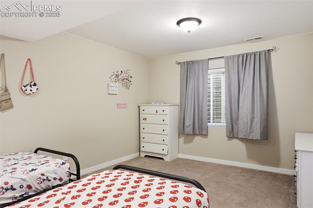 9307 Blue Birch Court Colorado Springs CO 80927
