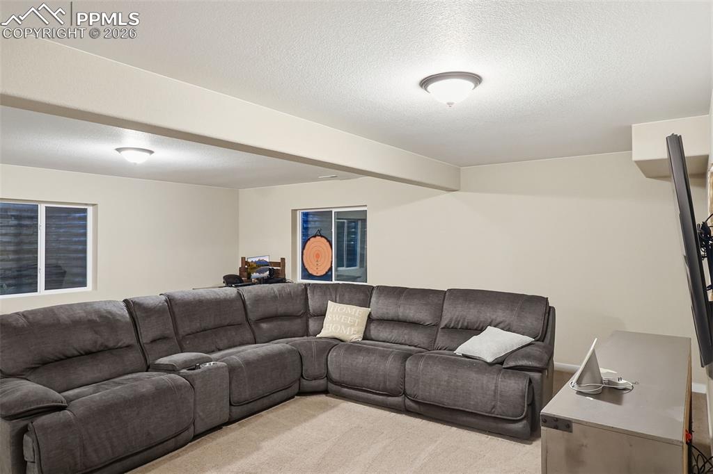 9307 Blue Birch Court Colorado Springs CO 80927