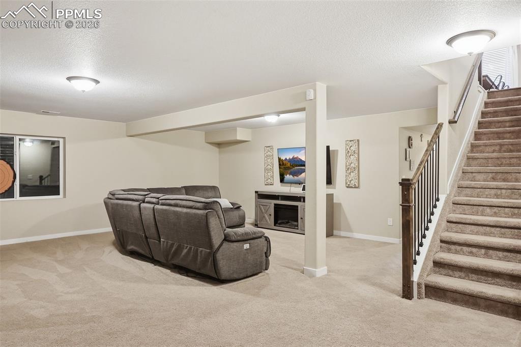 9307 Blue Birch Court Colorado Springs CO 80927