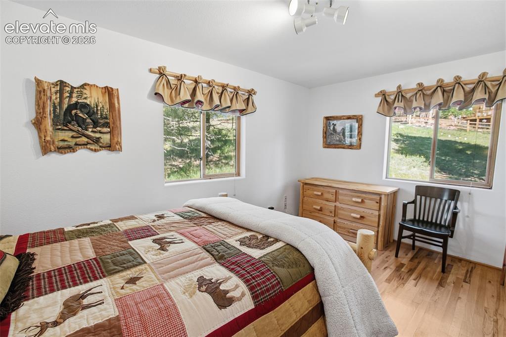 81 Pamona Lake Drive Divide CO 80814