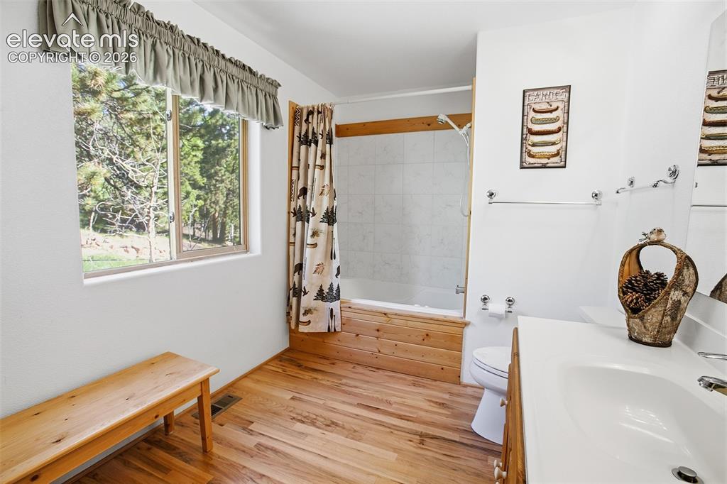 81 Pamona Lake Drive Divide CO 80814