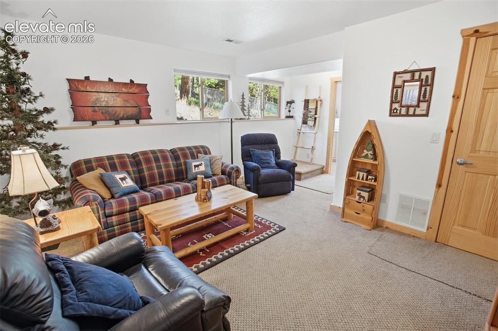 81 Pamona Lake Drive Divide CO 80814