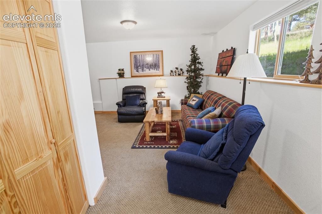 81 Pamona Lake Drive Divide CO 80814