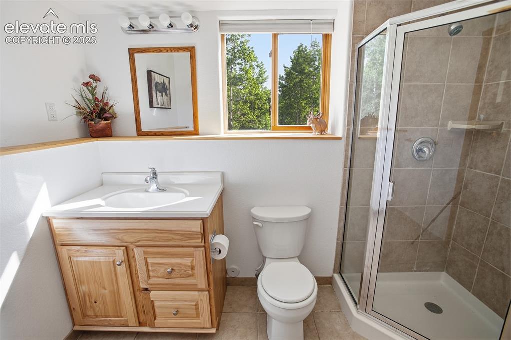 81 Pamona Lake Drive Divide CO 80814