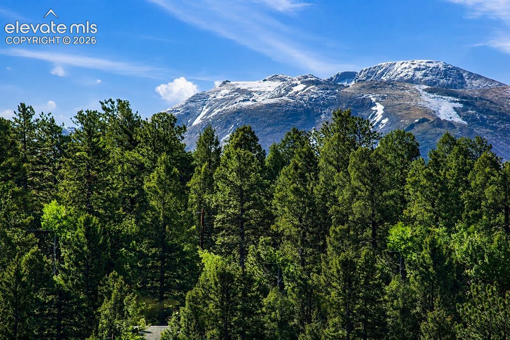 81 Pamona Lake Drive Divide CO 80814