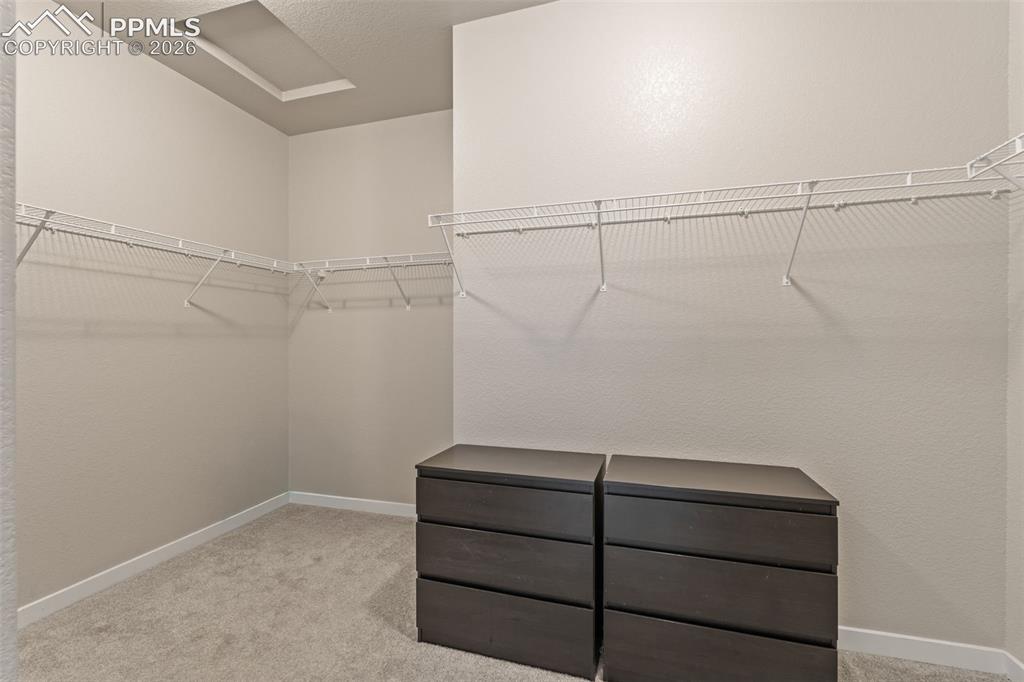10471 Finn Drive Colorado Springs CO 80924