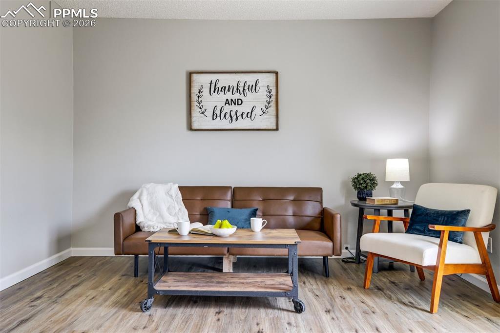 2056 Woodsong Way Fountain CO 80817