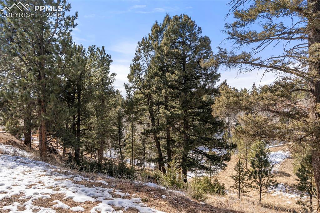 171 Star View Trail Divide CO 80814
