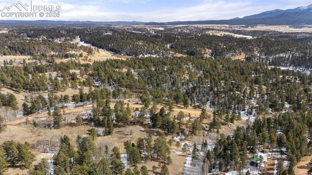 171 Star View Trail Divide CO 80814