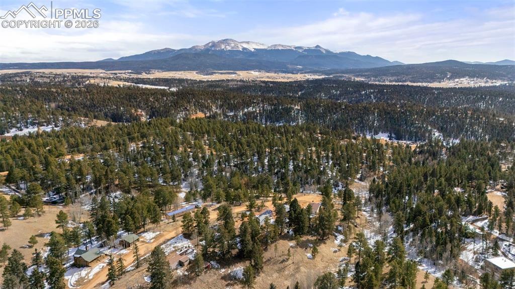 171 Star View Trail Divide CO 80814