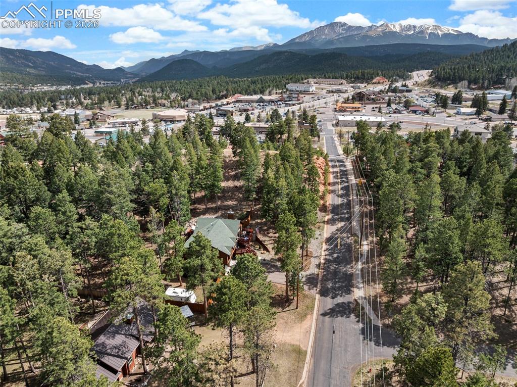 305 N Walnut Street Woodland Park CO 80863