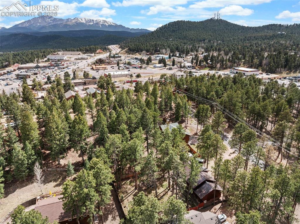305 N Walnut Street Woodland Park CO 80863