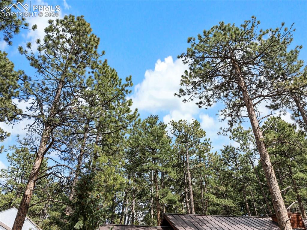 305 N Walnut Street Woodland Park CO 80863
