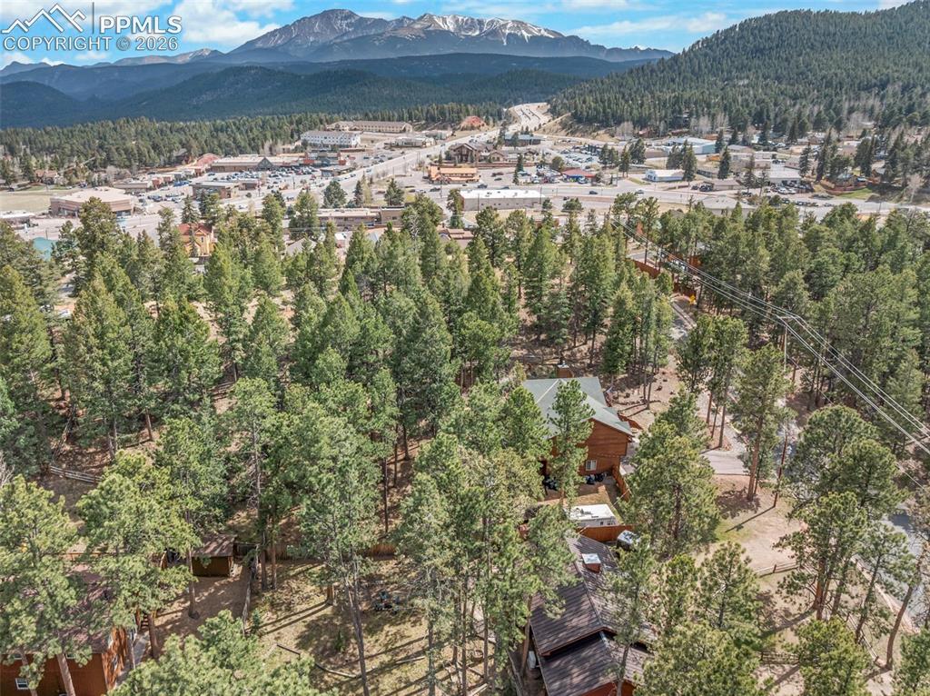 305 N Walnut Street Woodland Park CO 80863