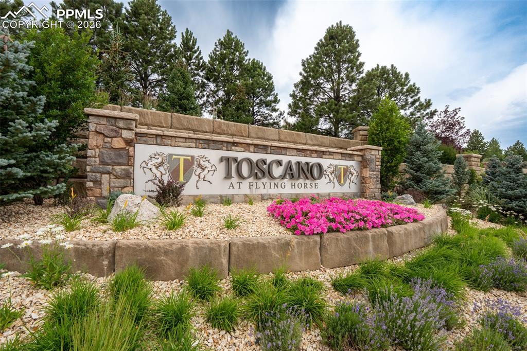 1575 Vine Cliff Heights Colorado Springs CO 80921