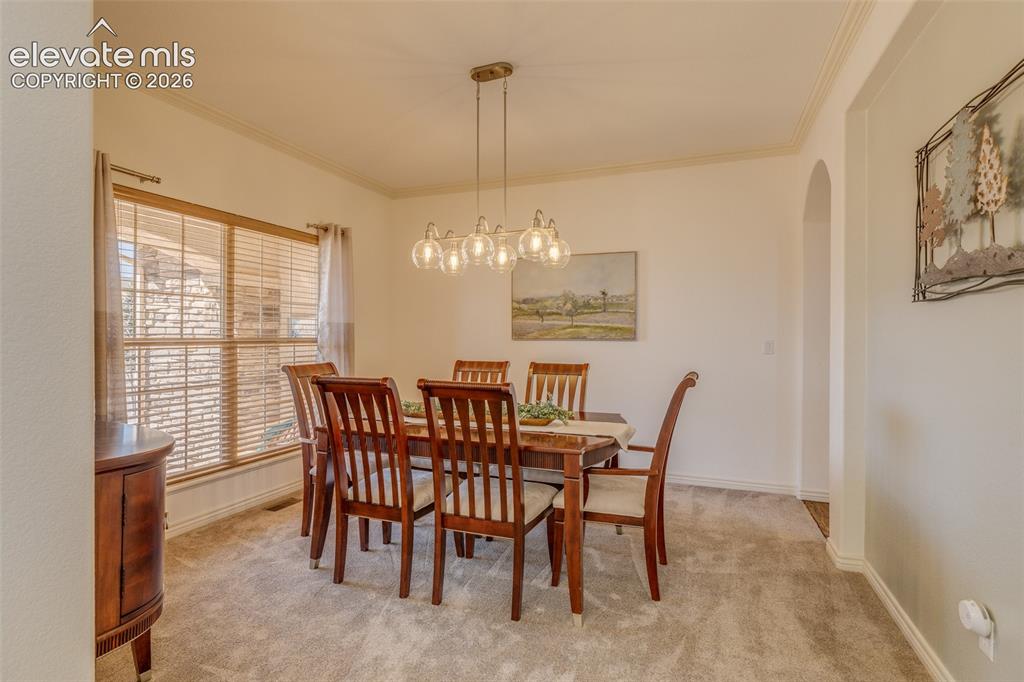 13957 Sierra Knolls Court Colorado Springs CO 80921