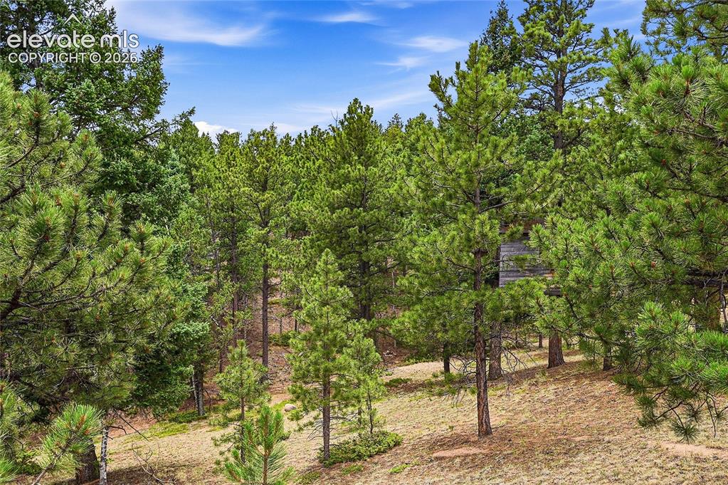 2130-2150 Arapahoe Street Woodland Park CO 80863