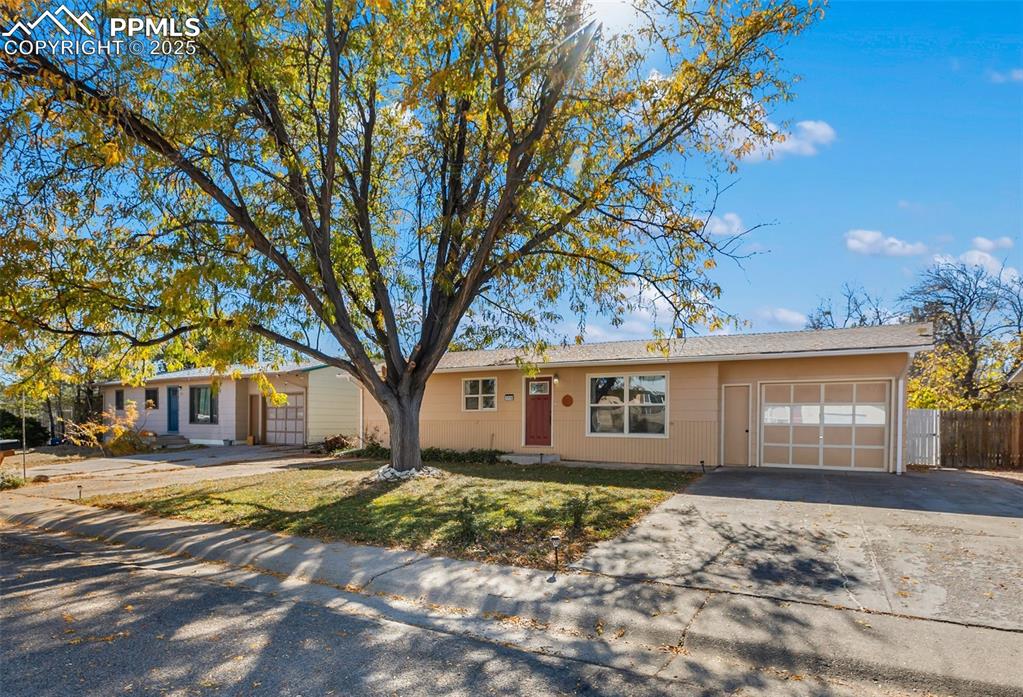 1110 Phay Avenue Canon City CO 81212