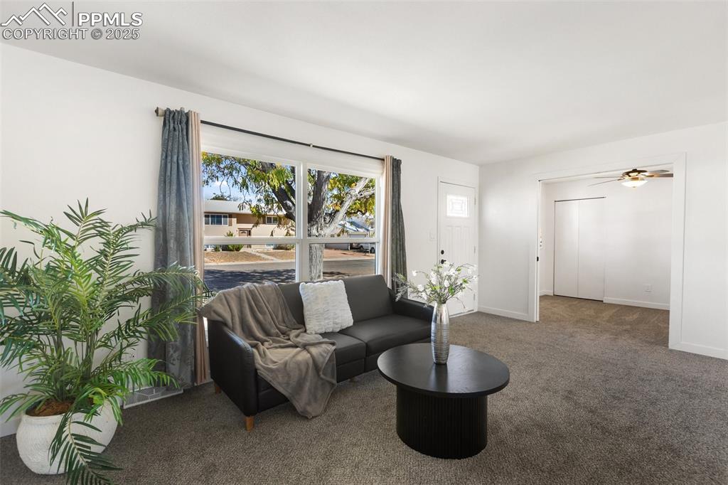 1110 Phay Avenue Canon City CO 81212