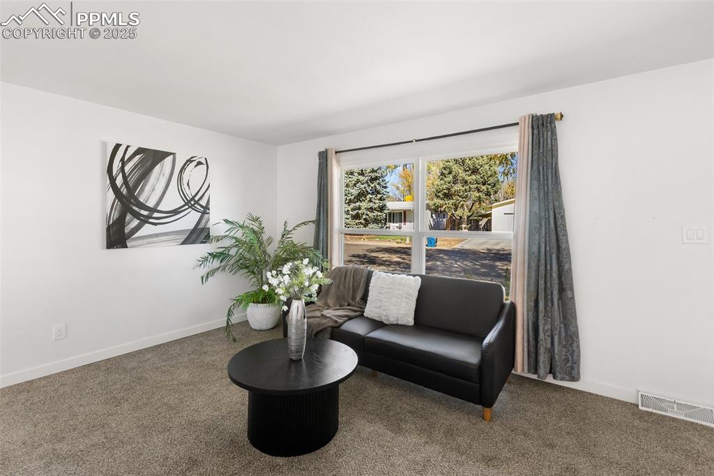 1110 Phay Avenue Canon City CO 81212