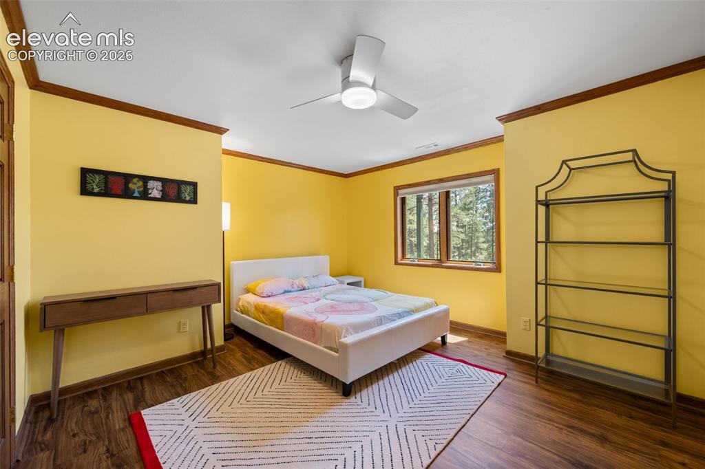 1675 Oakwood Drive Monument CO 80132