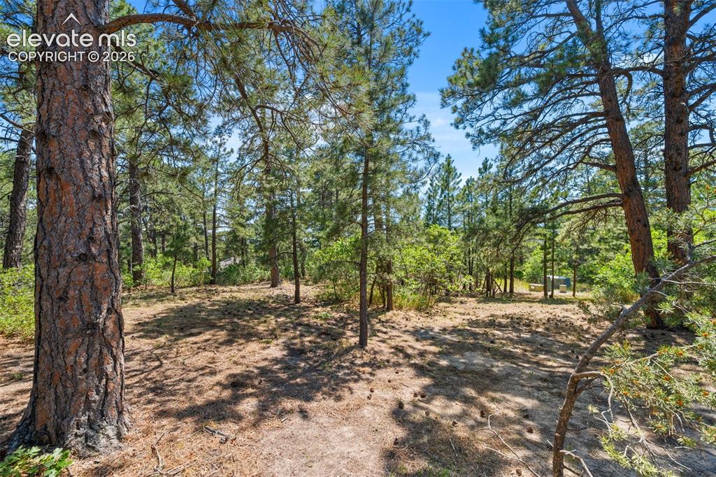1675 Oakwood Drive Monument CO 80132