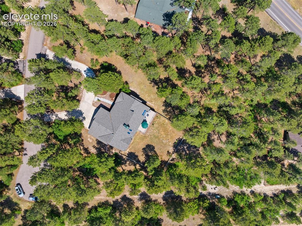 1675 Oakwood Drive Monument CO 80132