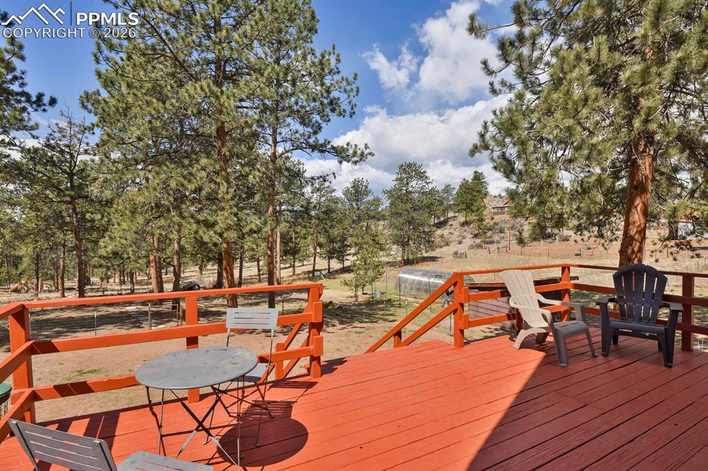 881 Trail Creek Road Lake George CO 80827