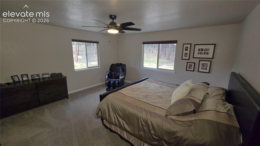 7220 Mcshane Road Colorado Springs CO 80908