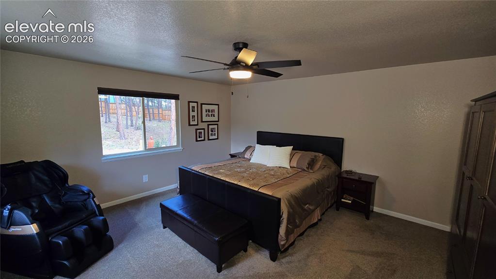 7220 Mcshane Road Colorado Springs CO 80908