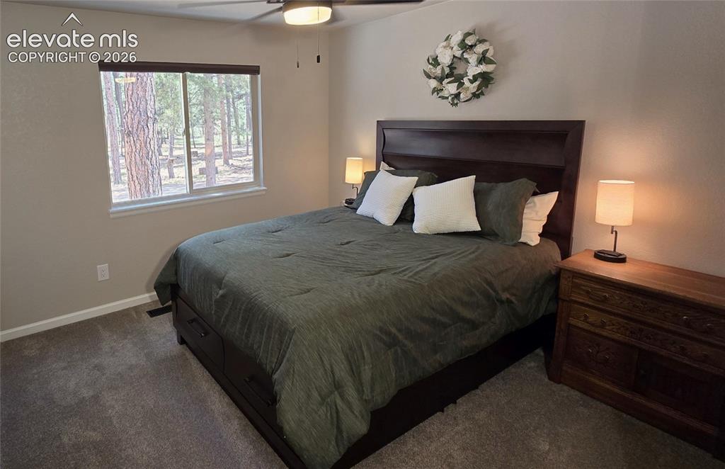 7220 Mcshane Road Colorado Springs CO 80908