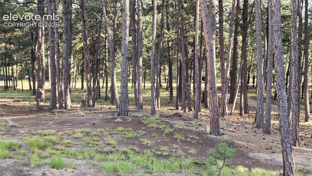 7220 Mcshane Road Colorado Springs CO 80908