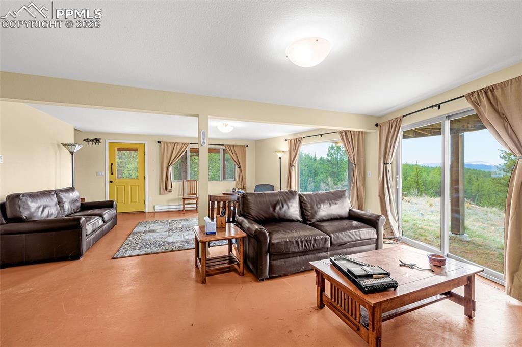 1736 Wildhorn Road Florissant CO 80816