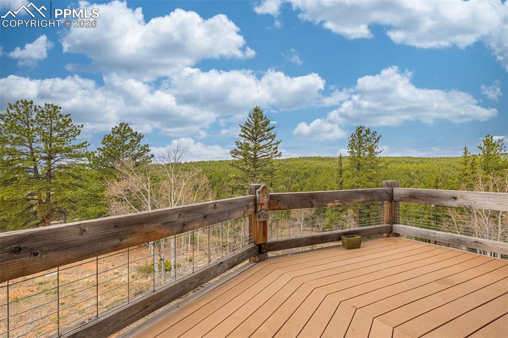 1736 Wildhorn Road Florissant CO 80816
