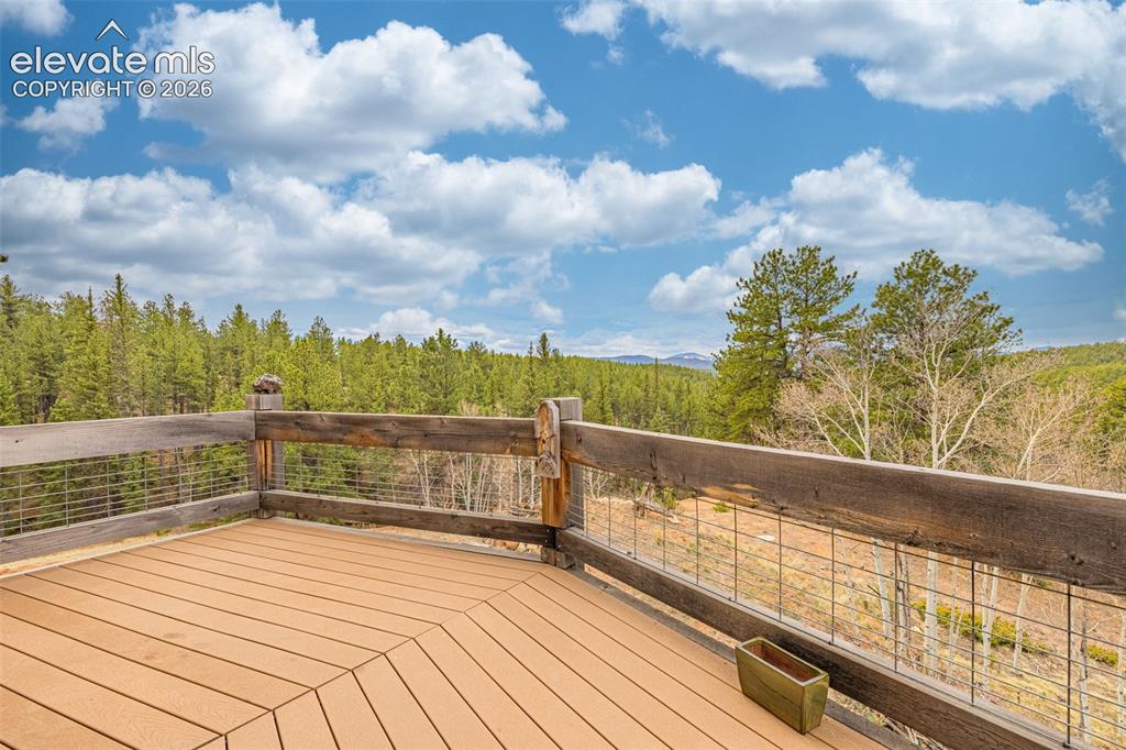 1736 County Road 3 Road Florissant CO 80816