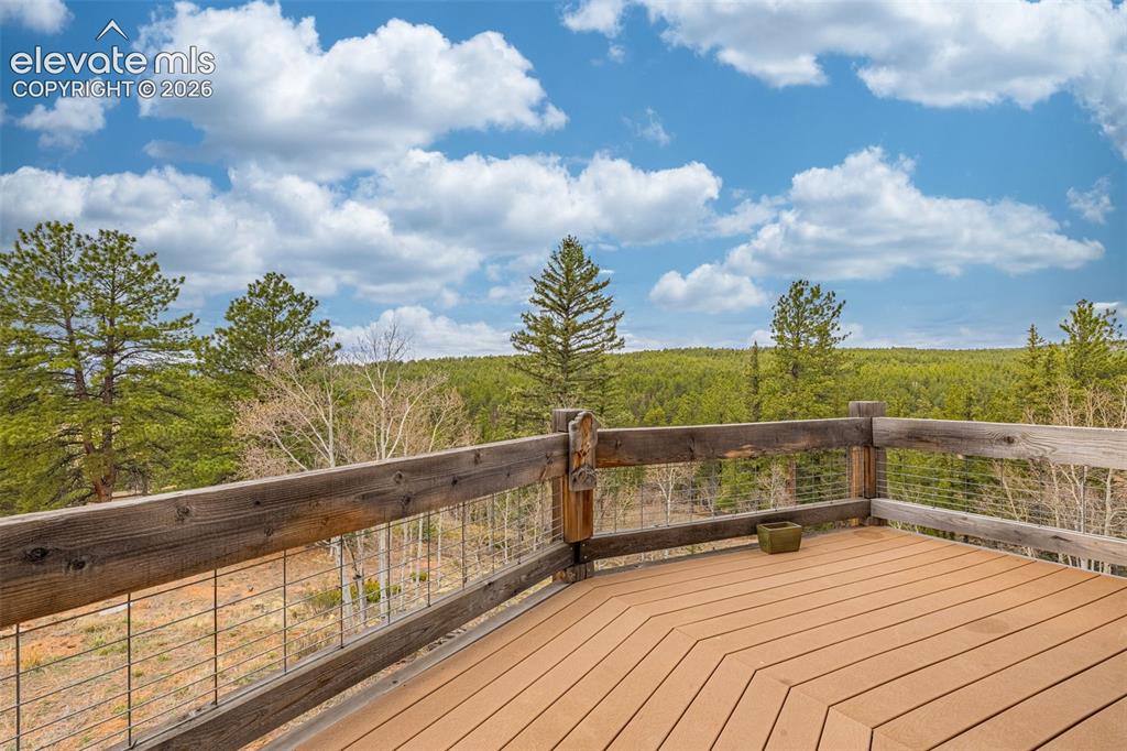 1736 County Road 3 Road Florissant CO 80816