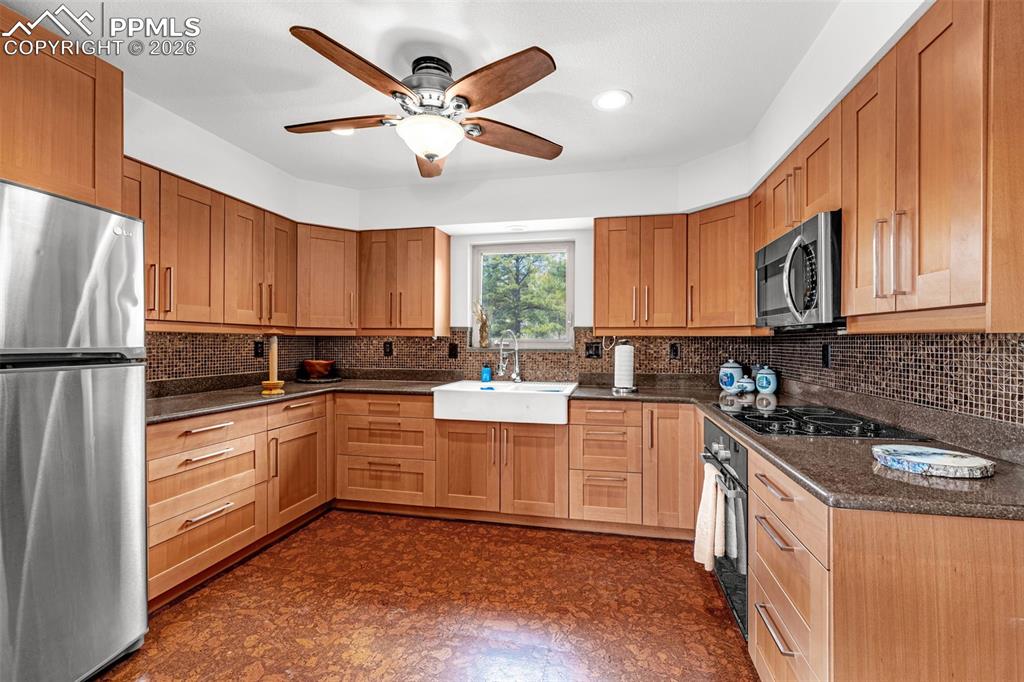 1736 Wildhorn Road Florissant CO 80816