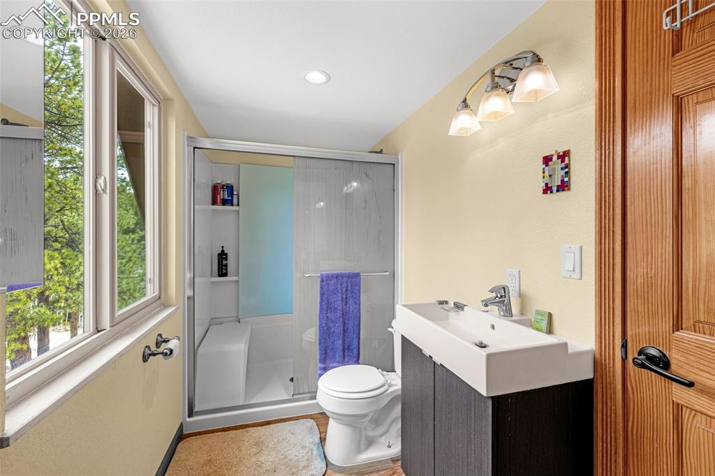 1736 Wildhorn Road Florissant CO 80816