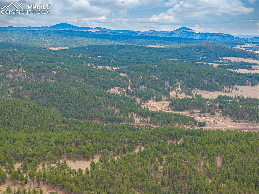 1736 Wildhorn Road Florissant CO 80816