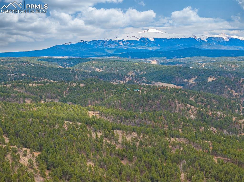1736 Wildhorn Road Florissant CO 80816