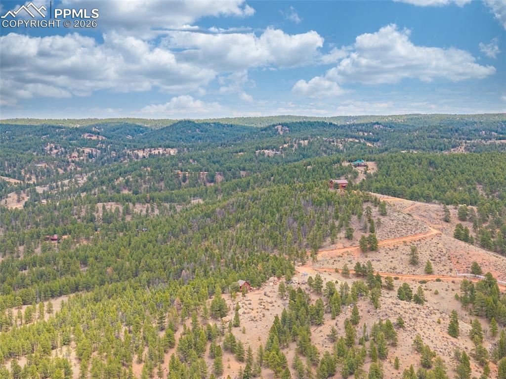 1736 Wildhorn Road Florissant CO 80816