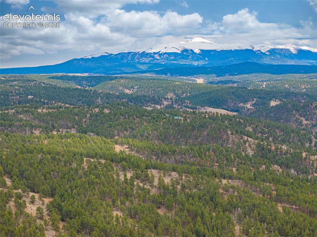 1736 County Road 3 Road Florissant CO 80816