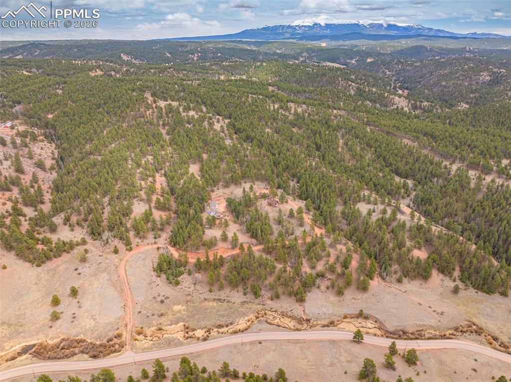 1736 Wildhorn Road Florissant CO 80816
