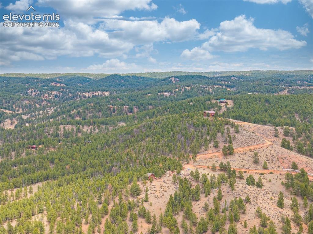1736 County Road 3 Road Florissant CO 80816