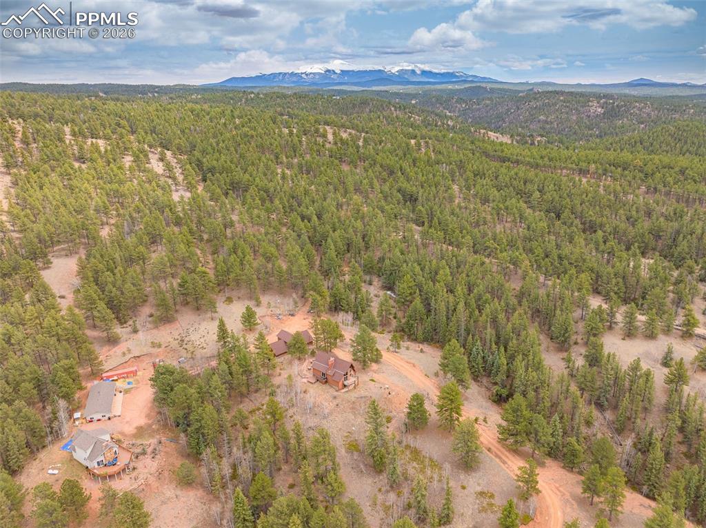 1736 Wildhorn Road Florissant CO 80816